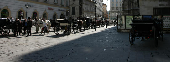 Austria, carriage, coach, day, eye level view, floor, horse, natural light, pavement, pavement, plaza, shady, square, summer, Vienna, Wien