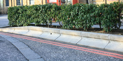 bush, day, England, eye level view, hedge, London, natural light, shady, street, sunny, The United Kingdom, vegetation, winter