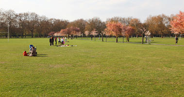 blooming, blossom, day, deciduous, England, eye level view, grass, group, London, park, people, picnicking, sitting, spring, sunny, The United Kingdom, tree