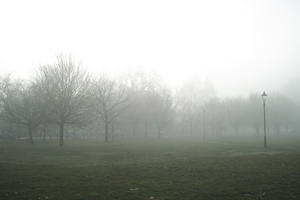 deciduous, England, eye level view, fog, grass, London, natural light, overcast, park, The United Kingdom, tree, winter