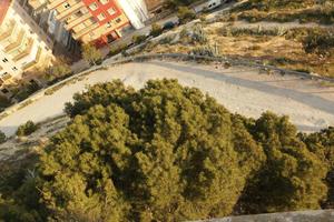 above, Alicante, dusk, path, Spain, tree, Valenciana, vegetation