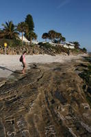 beach, day, eye level view, Florida, man, palm, Sarasota, shore, standing, sunny, sunshine, The United States, tree, villa, winter