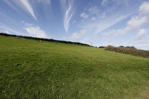 autumn, day, England, eye level view, grass, sunny, The United Kingdom