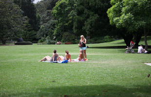 Australia, buggy, day, eye level view, grass, group, natural light, New South Wales, park, summer, sunbathing, Sydney, tree, vegetation, woman