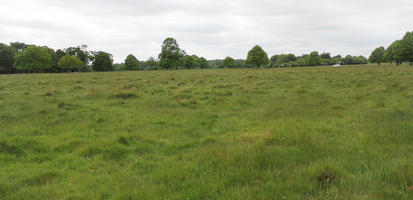 day, diffuse, diffused light, England, eye level view, grass, London, natural light, park, spring, The United Kingdom, treeline