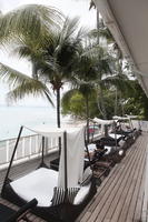 Barbados, coconut palm, Cocos nucifera, day, eye level view, furniture, hotel, palm, spring, sunbed, sunny