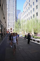 building, day, eye level view, facade, man, Manhattan, New York, people, sitting, street, summer, sunny, The United States, tree, vegetation, walking