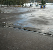 Battersea park, day, England, eye level view, London, natural light, park, pavement, The United Kingdom, tree, vegetation, winter