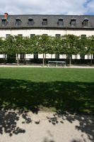 Belgium, Brussels, day, eye level view, grass, natural light, park, summer, tree, vegetation