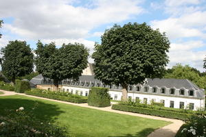 Belgium, Brussels, day, elevated, grass, natural light, park, summer, tree, vegetation