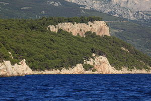 coastline, Croatia, day, eye level view, Makarska, seascape, Splitsko-Dalmatinska, summer, tree, vegetation