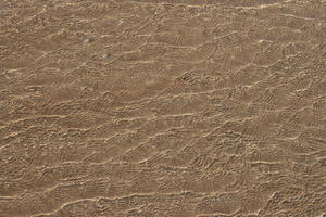 autumn, beach, close-up, day, direct sunlight, Essaouira, Morocco, natural light, sand, sunlight, sunshine, water