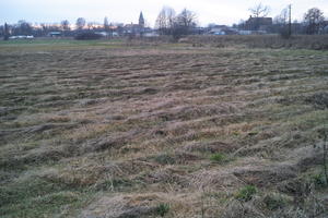 ambient light, countryside, day, eye level view, field, hay, open space, overcast, Poland, Wielkopolskie, winter, Wolsztyn