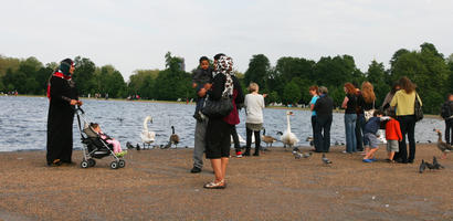 bird, day, diffuse, diffused light, ducks, England, eye level view, family, group, lake, London, multiracial, natural light, park, people, standing, summer, swan, The United Kingdom