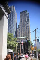 day, eye level view, Manhattan, New York, skyscraper, street, summer, The United States, tree, vegetation