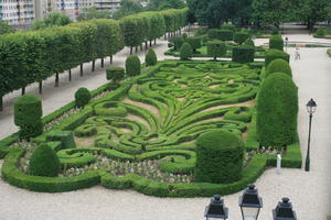 bush, Castres, day, elevated, France, garden, hedge, Midi-Pyrenees, natural light, park, summer, tree