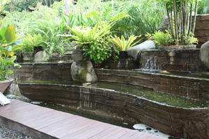 ambient light, day, eye level view, fountain, garden, Kedah, Malaysia, overcast, plant, tropical