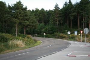 Castilla y Leon, day, eye level view, forest, object, road, Salamanca, sign, Spain, summer, sunlight, sunny, sunshine, tree, vegetation