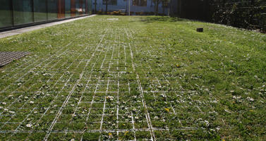 bright, day, direct sunlight, England, eye level view, grass, London, pavement, spring, sunny, The United Kingdom